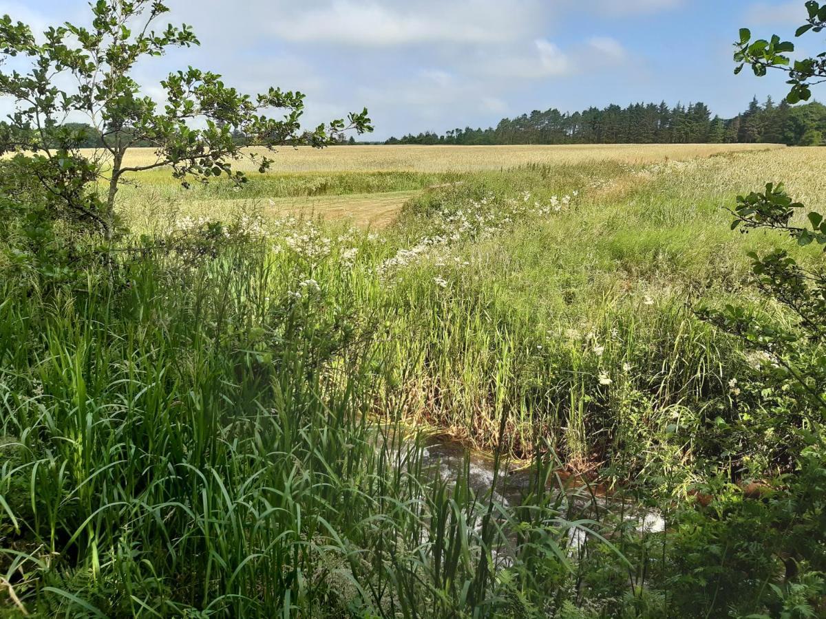 Rejkjaer Camping Hytter & Lejligheder Ulfborg Esterno foto
