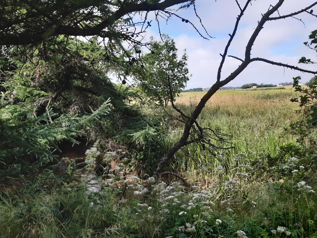 Rejkjaer Camping Hytter & Lejligheder Ulfborg Esterno foto
